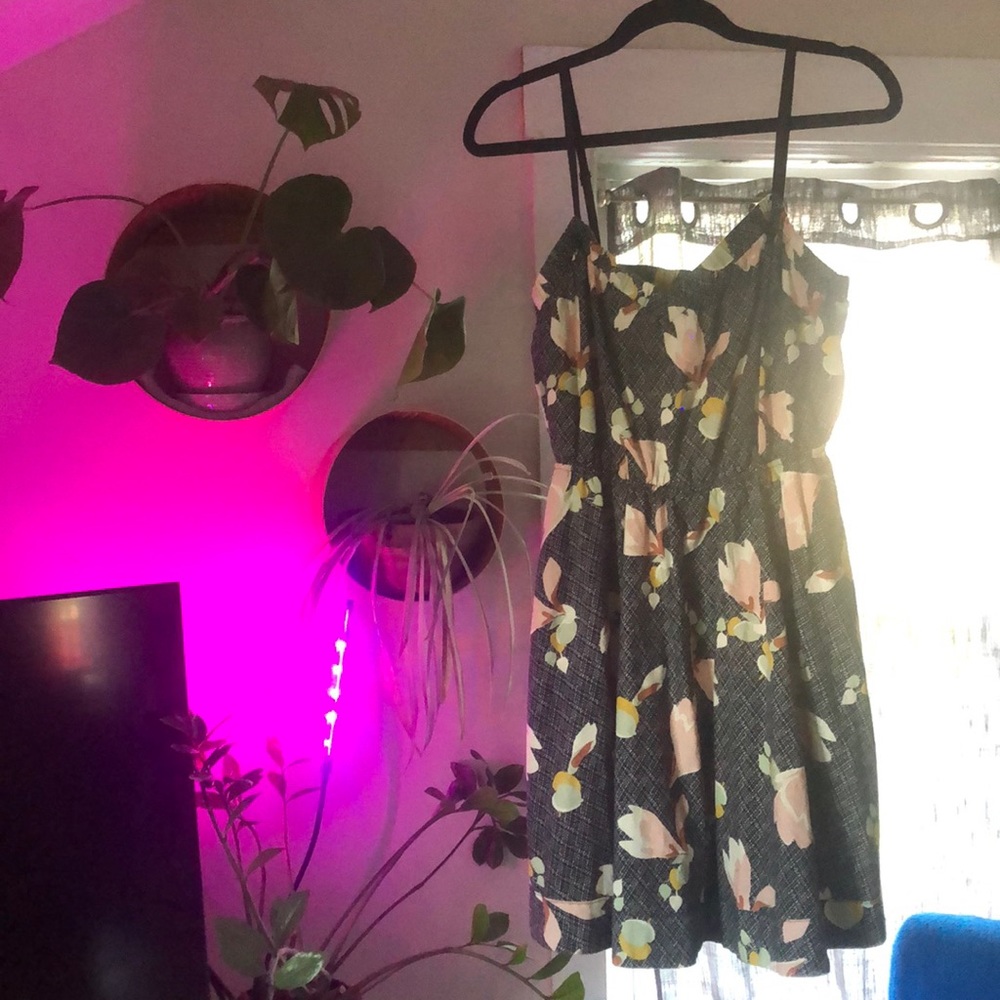 Kimchi Blue pattern dress